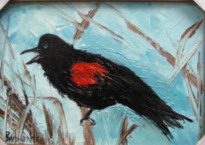 Red-Winged Blackbird by Barbara Haviland Bird Series 
